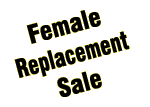 Female Replacement Sale